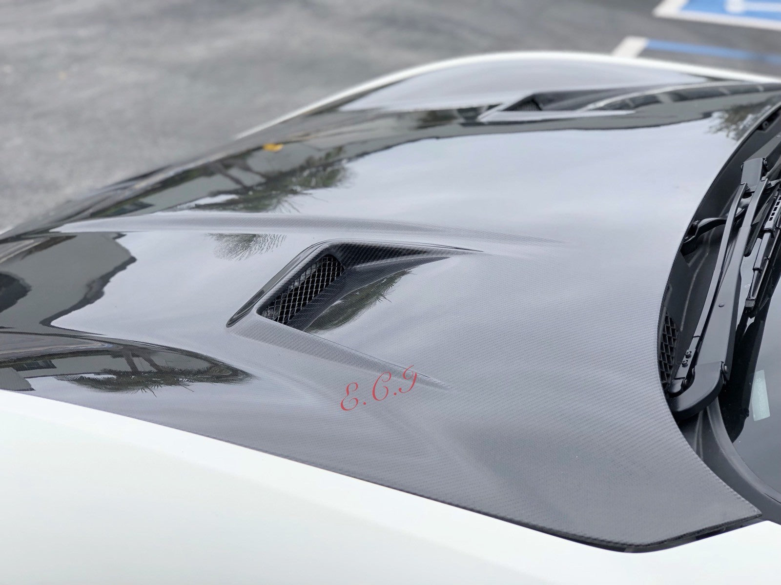 Maserati Gran turismo MC Convertible Coupe MC CARBON FIBER Engine Hood Bonnet FT